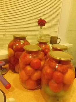 Заготовки на зиму - IMG20250818212836.jpg