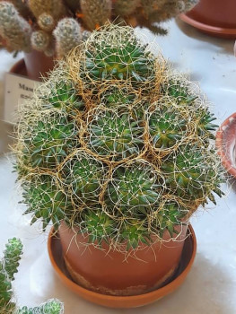 Москва - 20250806_161618.jpg