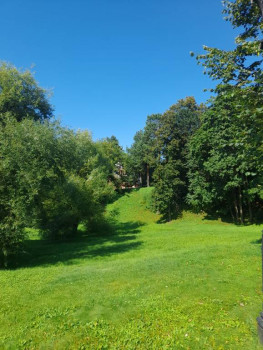 Москва - 20250806_150349.jpg