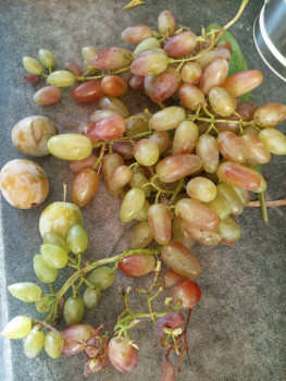 Чем сегодня занимались-3 - IMG_20250819_184220_390.jpg