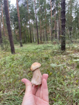 Чем сегодня занимались-3 - IMG_5889.jpeg