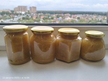 Заготовки на зиму - IMG20250822165923.jpg