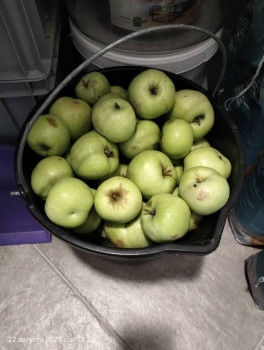 Заготовки на зиму - IMG20250822133435.jpg