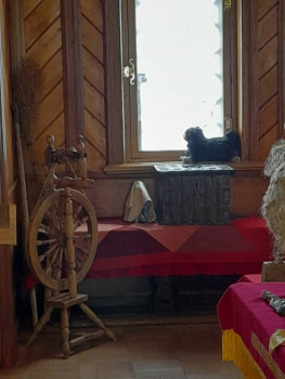 Москва - 20250809_133245.jpg