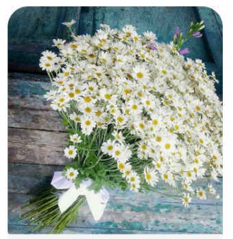 Иру- Мышеньку с Днём рождения  - Screenshot_20250111-113411.jpg