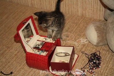 Кого из животных вы содержите? Фото приветствуется. - IMG_9964.JPG