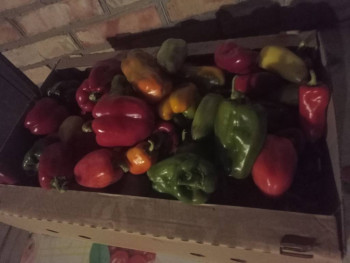 Заготовки на зиму - IMG20251012185106.jpg