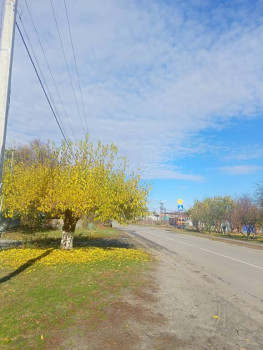 Поговорим о погоде - IMG20251026122857.jpg