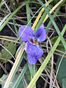 Поговорим о погоде - IMG_8111.jpeg