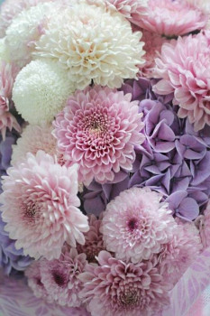 Нашу Натальку с Днём рождения  - 9f80dda9e5630eaa677e107e2c199fcc.jpg