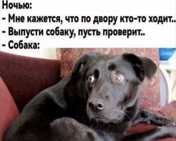 Cмешное из жизни животных. Фото и видео из интернета. - Screenshot_20251023-234357.jpg