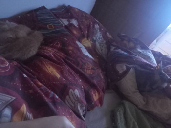 Чем сегодня занимались-3 - IMG20251208154405.jpg