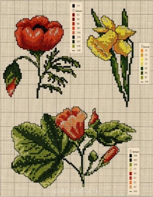 Цветы. Схемы вышивки - 1280153464_cveti_3.jpg