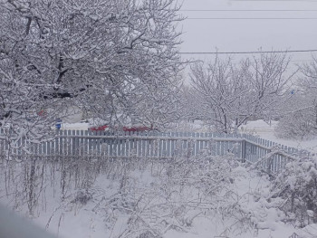 Поговорим о погоде - IMG20251229092706.jpg