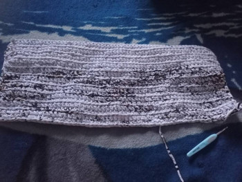 Фотоотчеты и планы Рукодельного марафона - IMG20260125170847.jpg