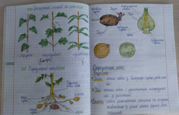 Чем сегодня занимались ваши дети? - IMG_20260205_110722.jpg