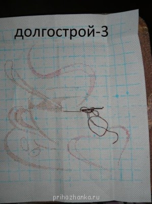 Конкурс Победим долгострой-3  - P1100014.JPG