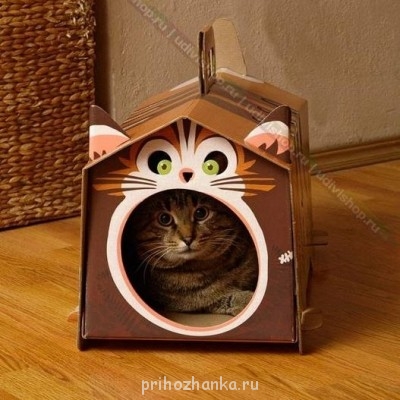 Корзиночки, лоточки, когтеточки , поводочки.. - xKJCRbkz8as.jpg