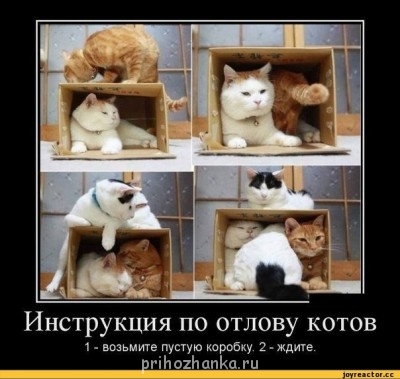 Корзиночки, лоточки, когтеточки , поводочки.. - ---289~1.JPG
