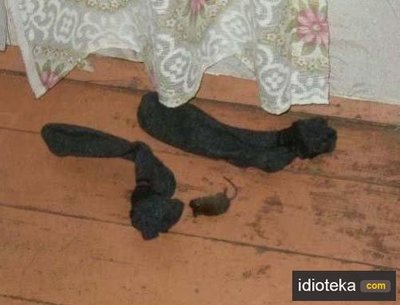 А что для вас как красная тряпка для быка ? - 3e4e892f3f.jpg