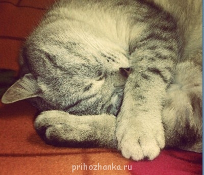 Чем сегодня занимались? - Безымянный.jpg