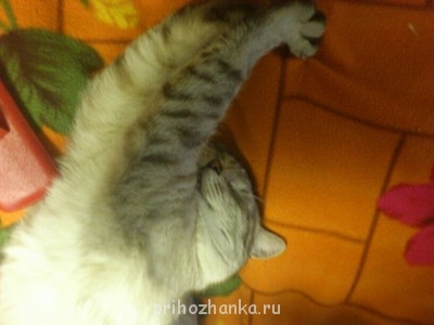 Чем сегодня занимались? - mms_img-1948726785.jpg