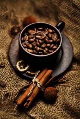 Аватарки. Наши интернет-лица - otumblr_lza1452XRR1ro7q64o1_500.jpg