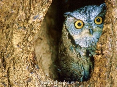 Чем сегодня занимались? - b7e6797e7ed8a61921033feae869e745_a8eb766c2f11cef9cbaa3bf27a50e108.jpg