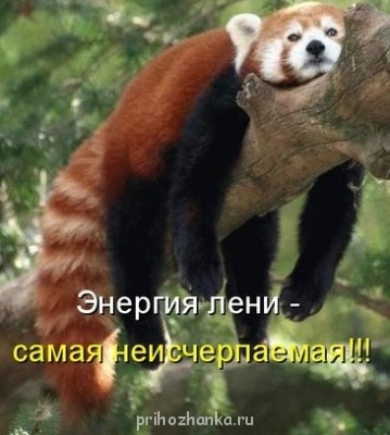 А это я сегодня....Когда дома все дети я все делаю. Стоит бабушке одну дочурку забрать и все...Ничего не хочется.