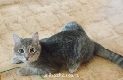 Кого из животных вы содержите? Фото приветствуется. - DSCN0200.JPG