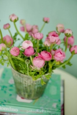 Чем сегодня занимались? - qf4Uezu1K3s.jpg