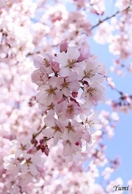 А у вас сейчас какое настроение? - JS3vm3aHfGE.jpg