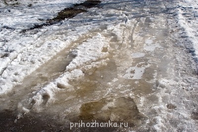 А у вас сейчас какое настроение? - msp_29.jpg