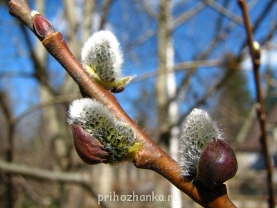 А так хочется,чтобы поскорее