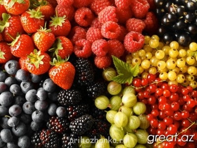 Чем сегодня занимались? - 1340703261_1.jpg