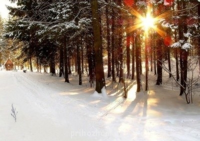 после ранней Литургии начало светать