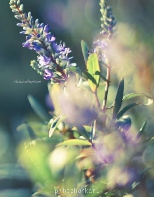 А у вас сейчас какое настроение? - QRXpEJ96r6w.jpg