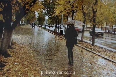 Осенью с тоской миришься. Каждый год в тебе что-то умирает, когда с деревьев опадают листья, а голые ветки беззащитно качаются на ветру в холодном зимнем свете.