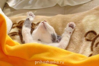 А у вас сейчас какое настроение? - JzAfN_3fq5s.jpg