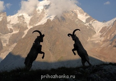 А у вас сейчас какое настроение? - QHJJPcXsmBk.jpg