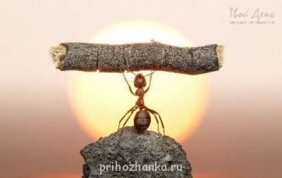 А у вас сейчас какое настроение? - m3vN-KFowF8.jpg