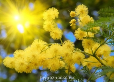 А у вас сейчас какое настроение? - 19032_900.jpg